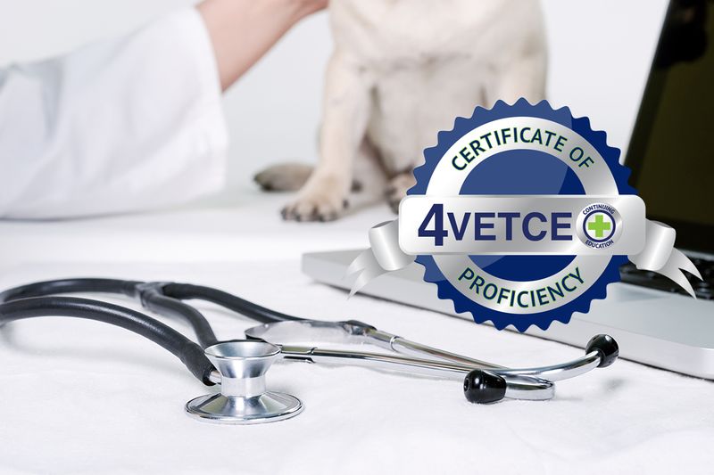 Certificate of Revenue Recovery &amp; Medical Collections Proficiency (CRRMCP)