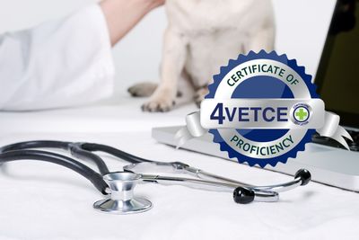 Certificate of Revenue Recovery &amp; Medical Collections Proficiency (CRRMCP)