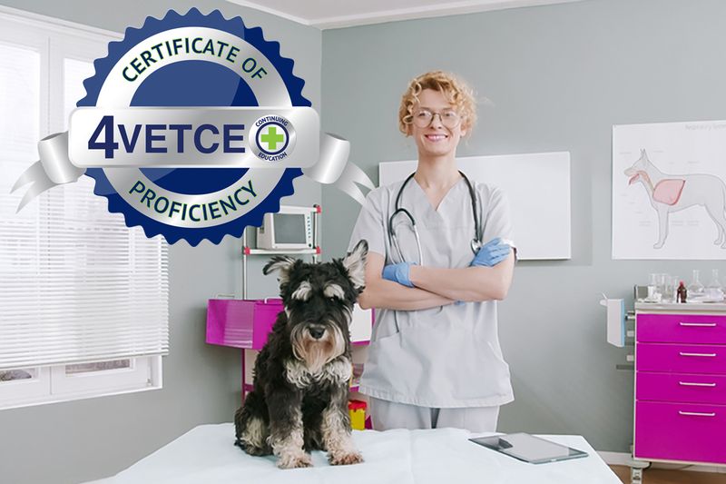 Certificate of Social Media Strategies for Veterinary Practice Proficiency (CSMSVPP)