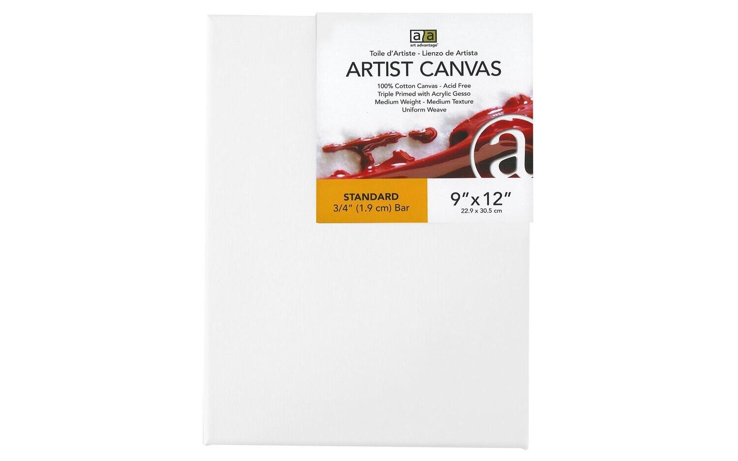 ART ADVANTAGE ARTIST CANVAS VISUAL EDGE 9X12