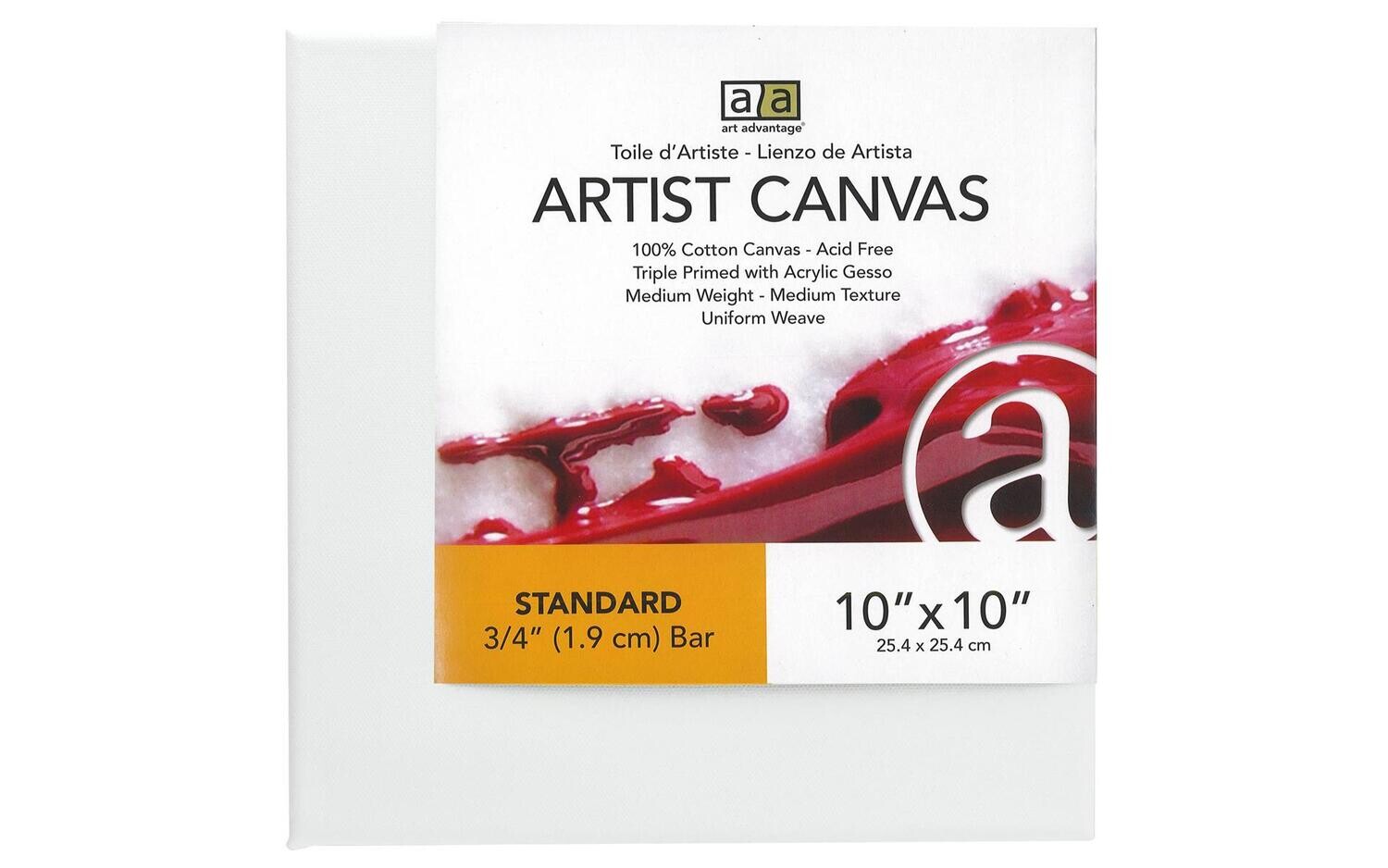 ART ADVANTAGE ARTIST CANVAS VISUAL EDGE 10X10