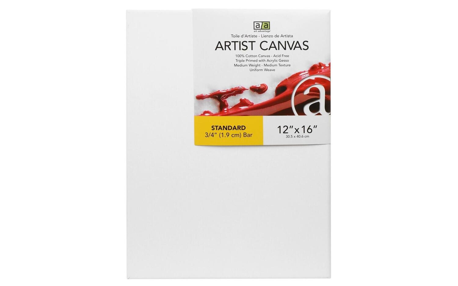 ART ADVANTAGE ARTIST CANVAS VISUAL EDGE 12x16