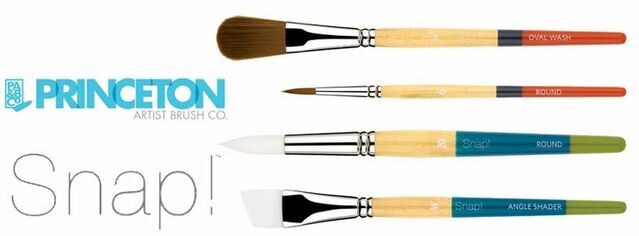PRINCETON SNAP SETS