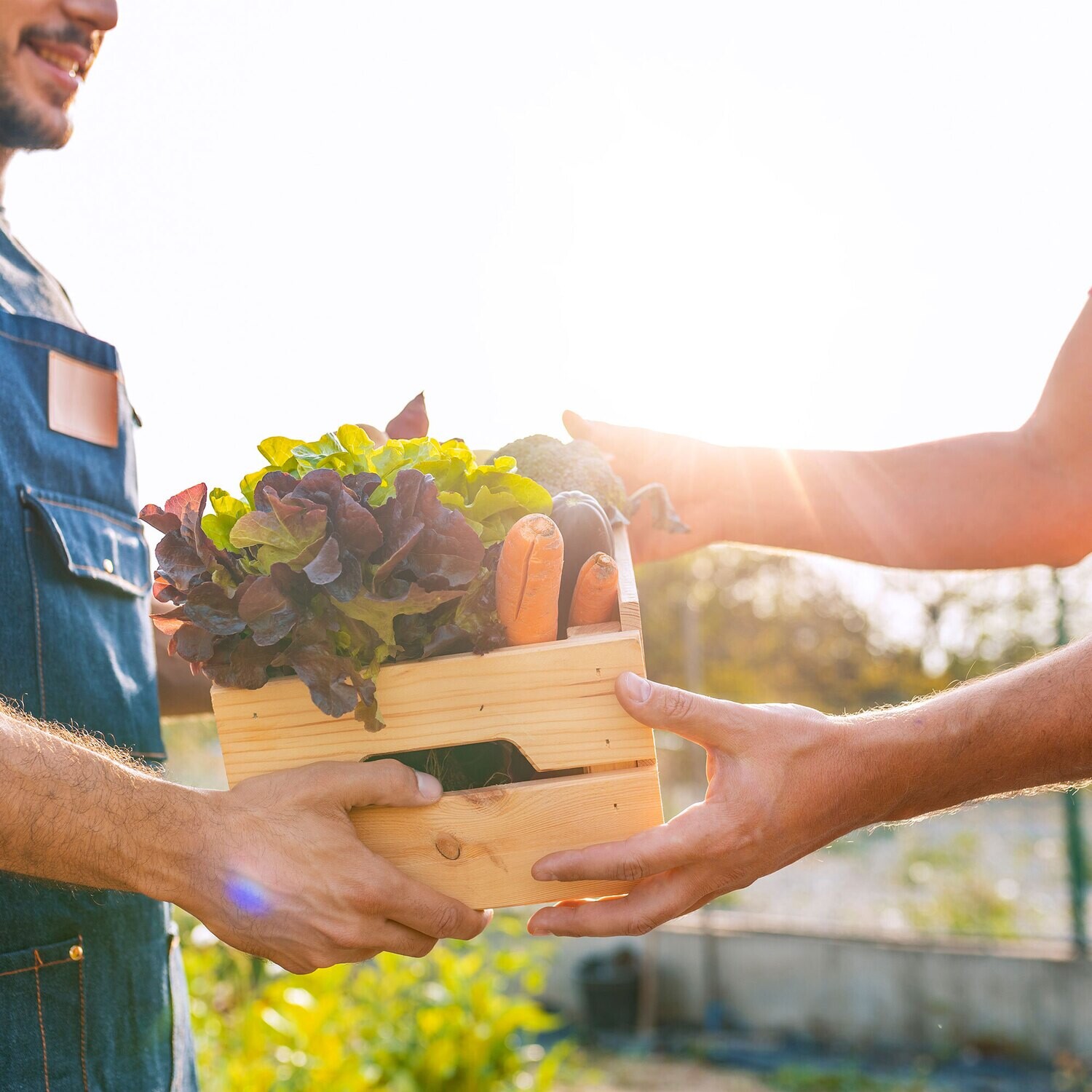 Donate a PlantBox