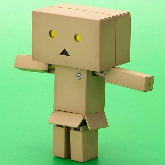 DANBOARD (MINI)