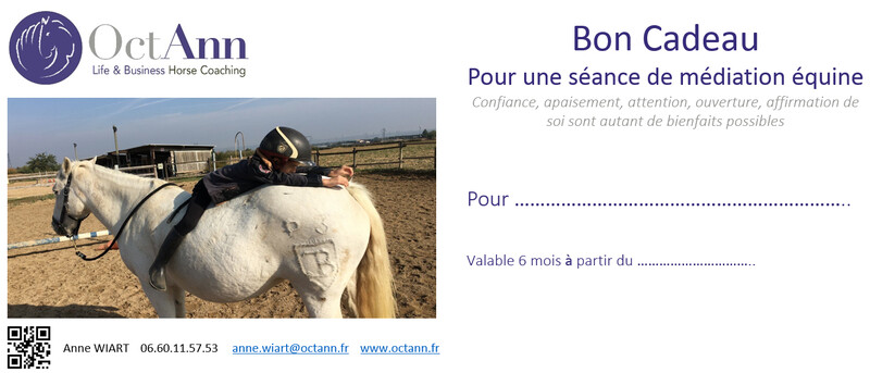 Bon Cadeau pour 1 séance de Médiation Equine (1h)
