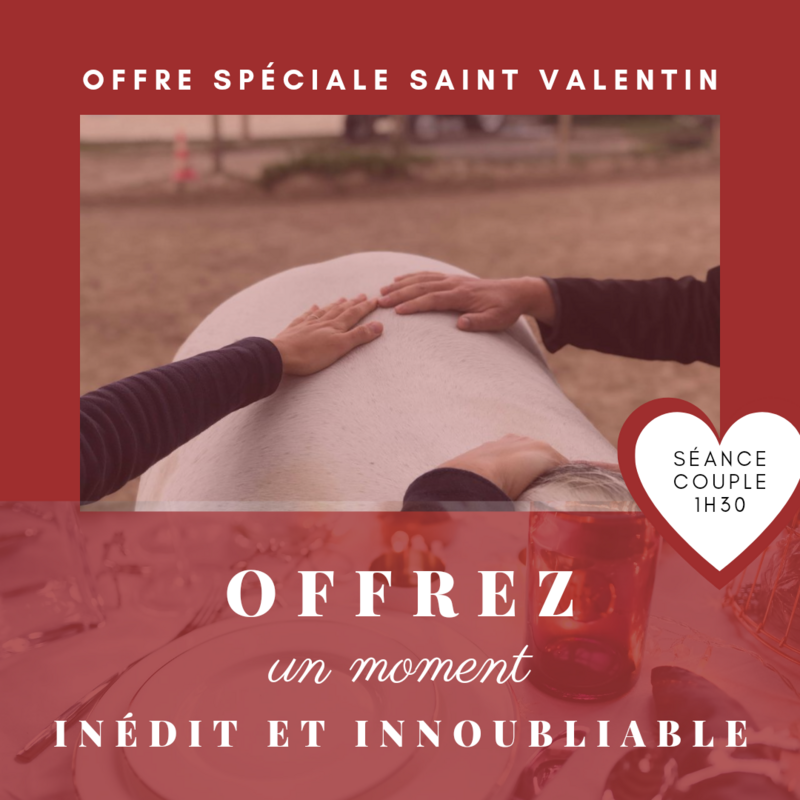 Séance Equi-Coaching en couple - Offre spéciale Saint Valentin
