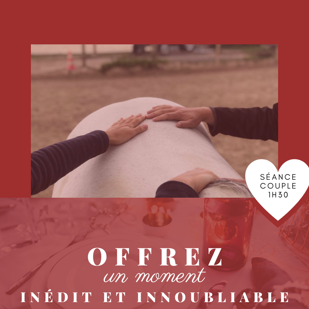 Séance Equi-Coaching en couple