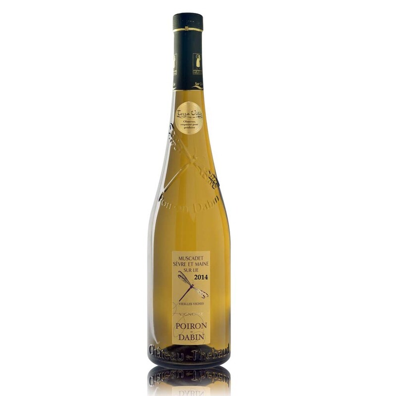 Muscadet Sur Lie Vieilles Vignes Chantegrolle 2023