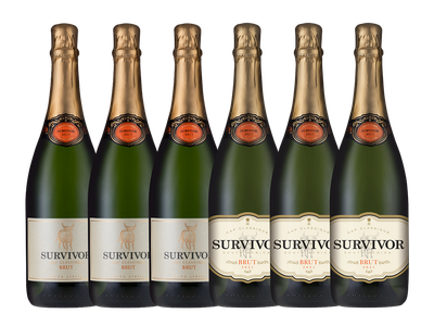 SURVIVOR CELEBRATION CASE - 6 x 750ml