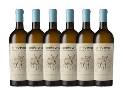 SURVIVOR RESERVE CHENIN BLANC VINTAGE CASE - 6 x 750ml