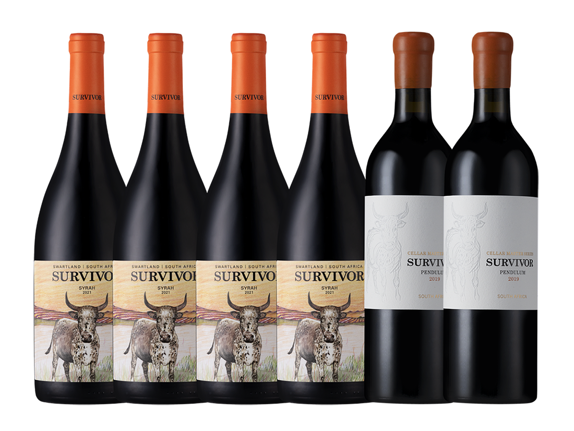 SURVIVOR VINTAGE RED WINE BOX - 6 x 750ml
