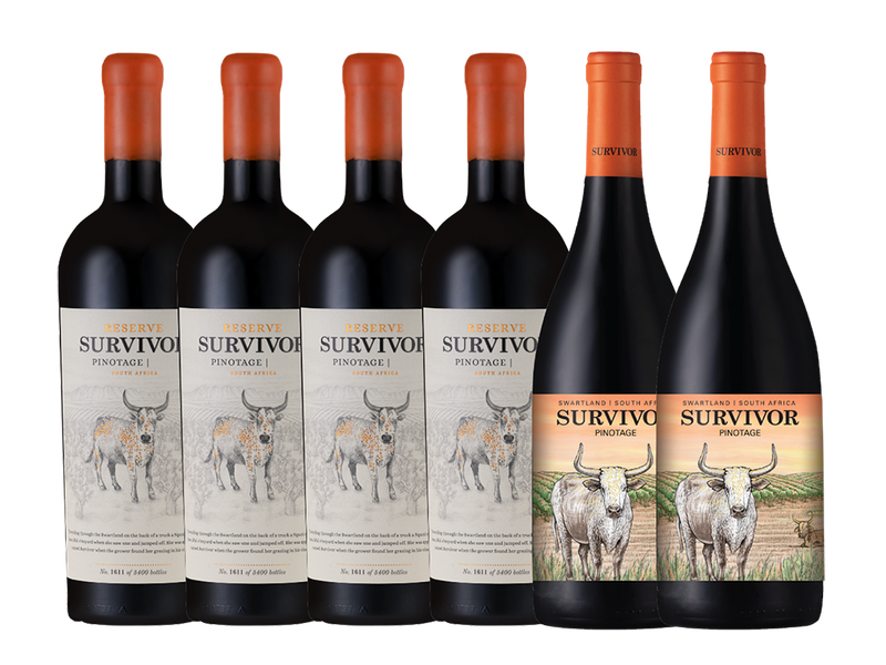 SURVIVOR RESERVE PINOTAGE MIX CASE - 6 x 750ml
