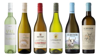 CHENIN BLANC MIX CASE - 6 x 750ml