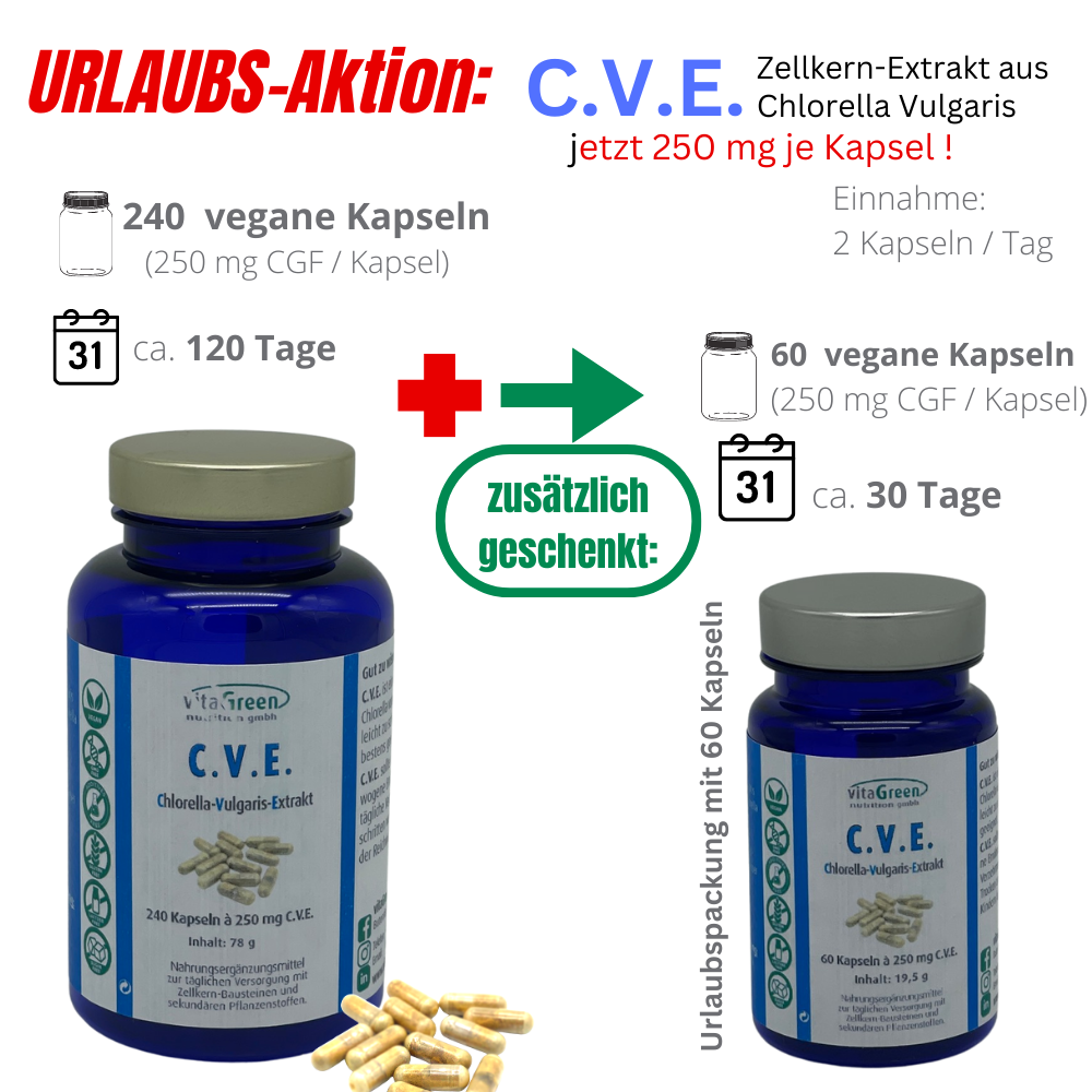 C.V.E. Extrakt aus Chlorella Vulgaris, Dose mit 60 Kapseln