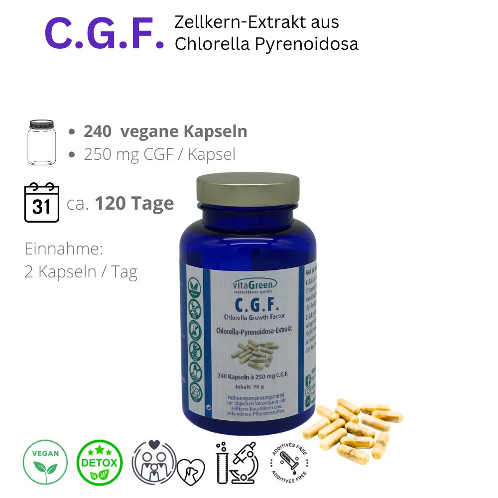 C.G.F. Extrakt aus Chlorella Pyrenoidosa, Größe: 240 Kapseln