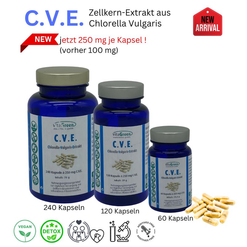 C.V.E. Extrakt aus Chlorella Vulgaris