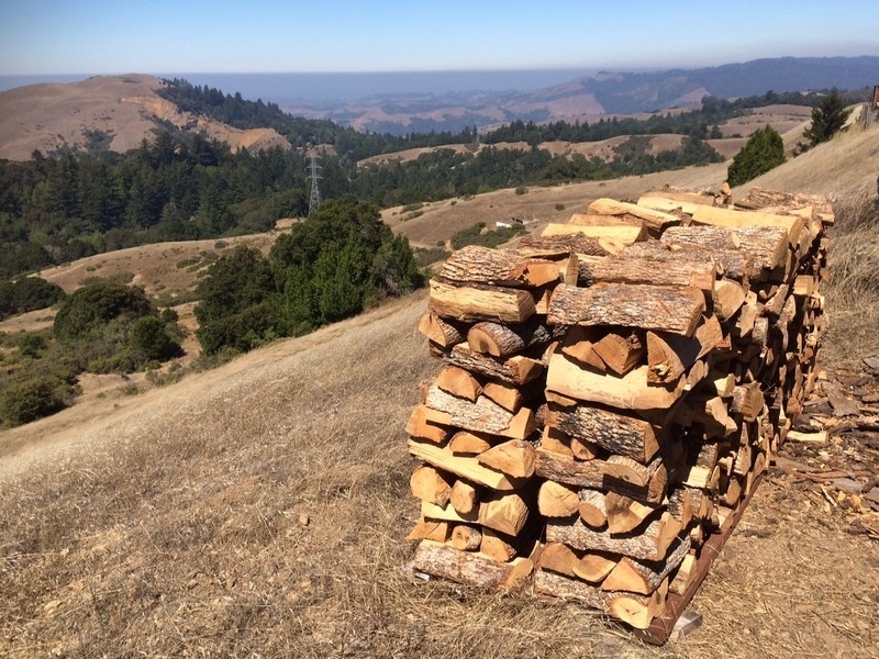 Oak cord