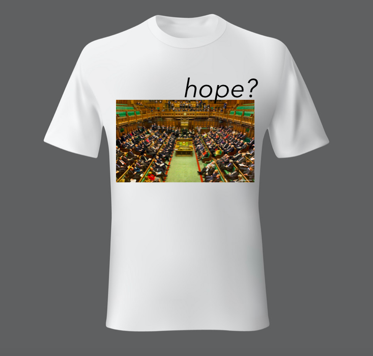 hope? - House of Commons