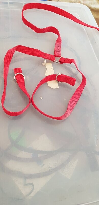 Webbing Brace slip leads 4ft