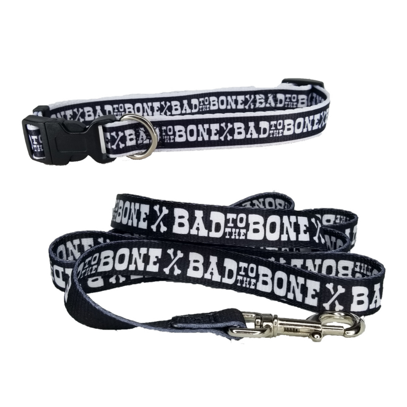 Dog Leash &amp; Collar Combo