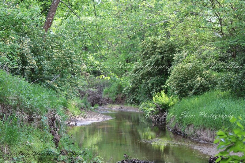 Lost Creek
