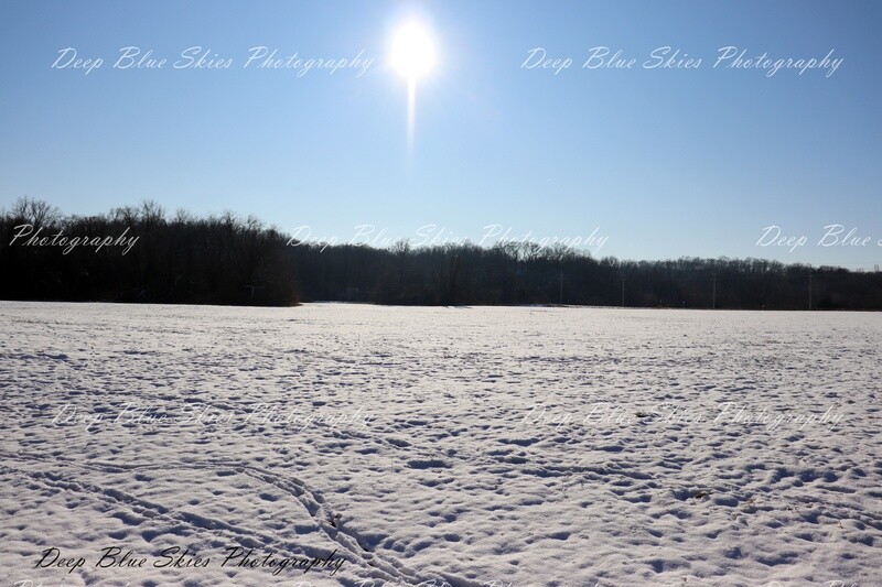 Cold Sunny Day