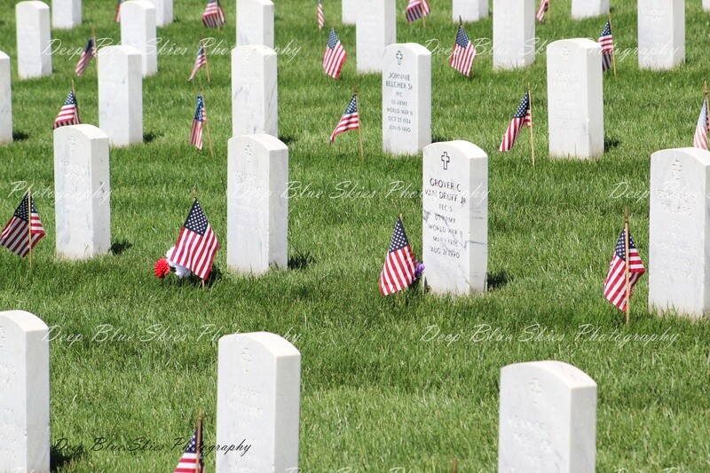 Fallen Soldiers