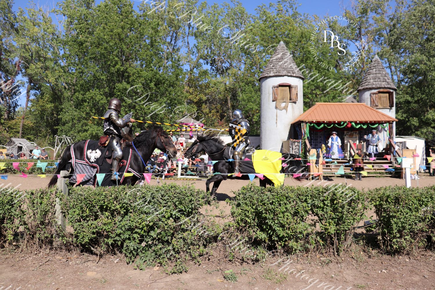 Renaissance Jousting