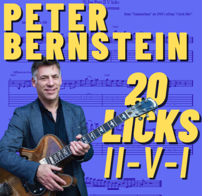 20 Peter Bernstein 2-5-1 Licks with TABS