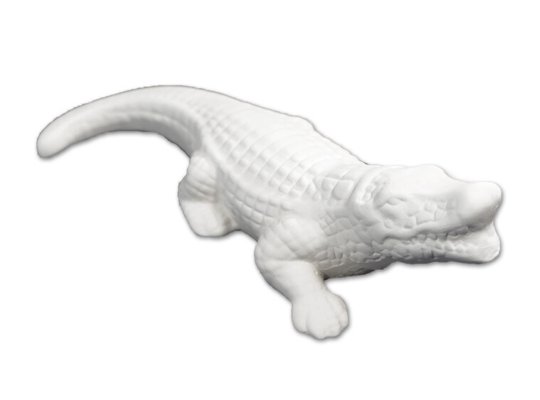 Gator Gator