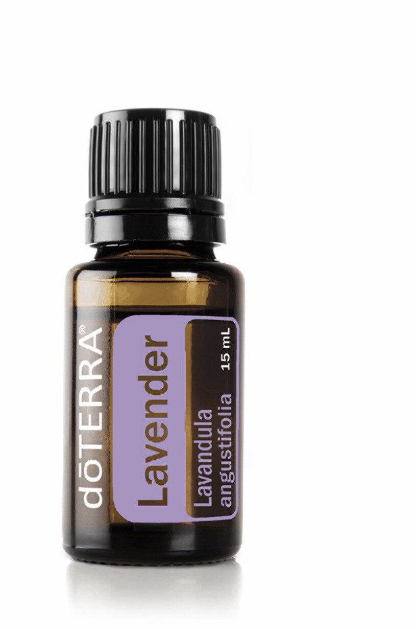 Lavender Doterra Lavender Doterra