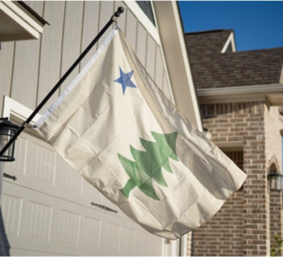 Maine 1901 Flag
