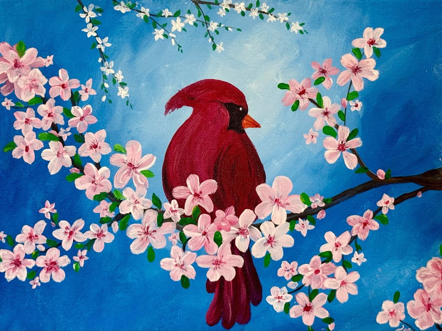 Cardinal and Cherry Blossoms Paint and Sip
