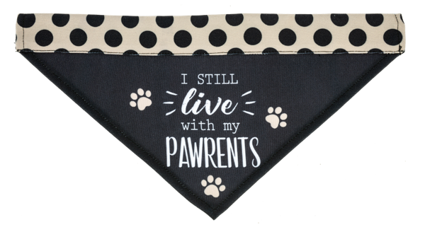 Pet Collar Bandana I Live With My Pawrents - 2 Sizes

