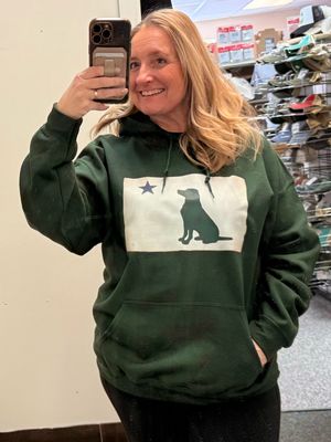 Maine Flag Dog Hoodie