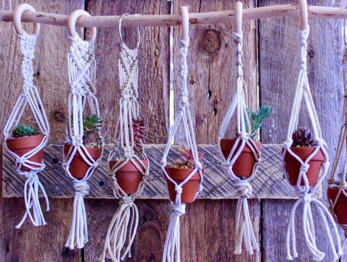 Master Class - Macrame & Succulents with Mainely Succulents Master Class - Macrame & Succulents with Mainely Succulents