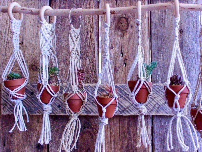 Master Class - Macrame & Succulents with Mainely Succulents