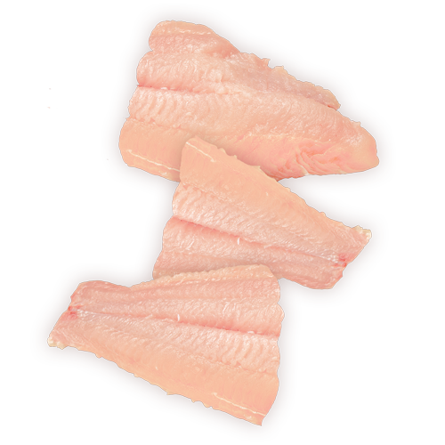 15 lb. Carton Catfish Fillet Portions
