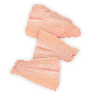4 lb. Carton Catfish Fillet Portions