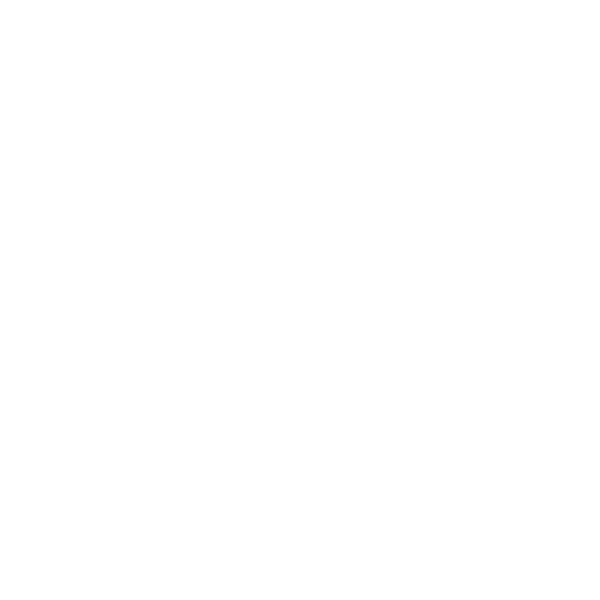 Online Store