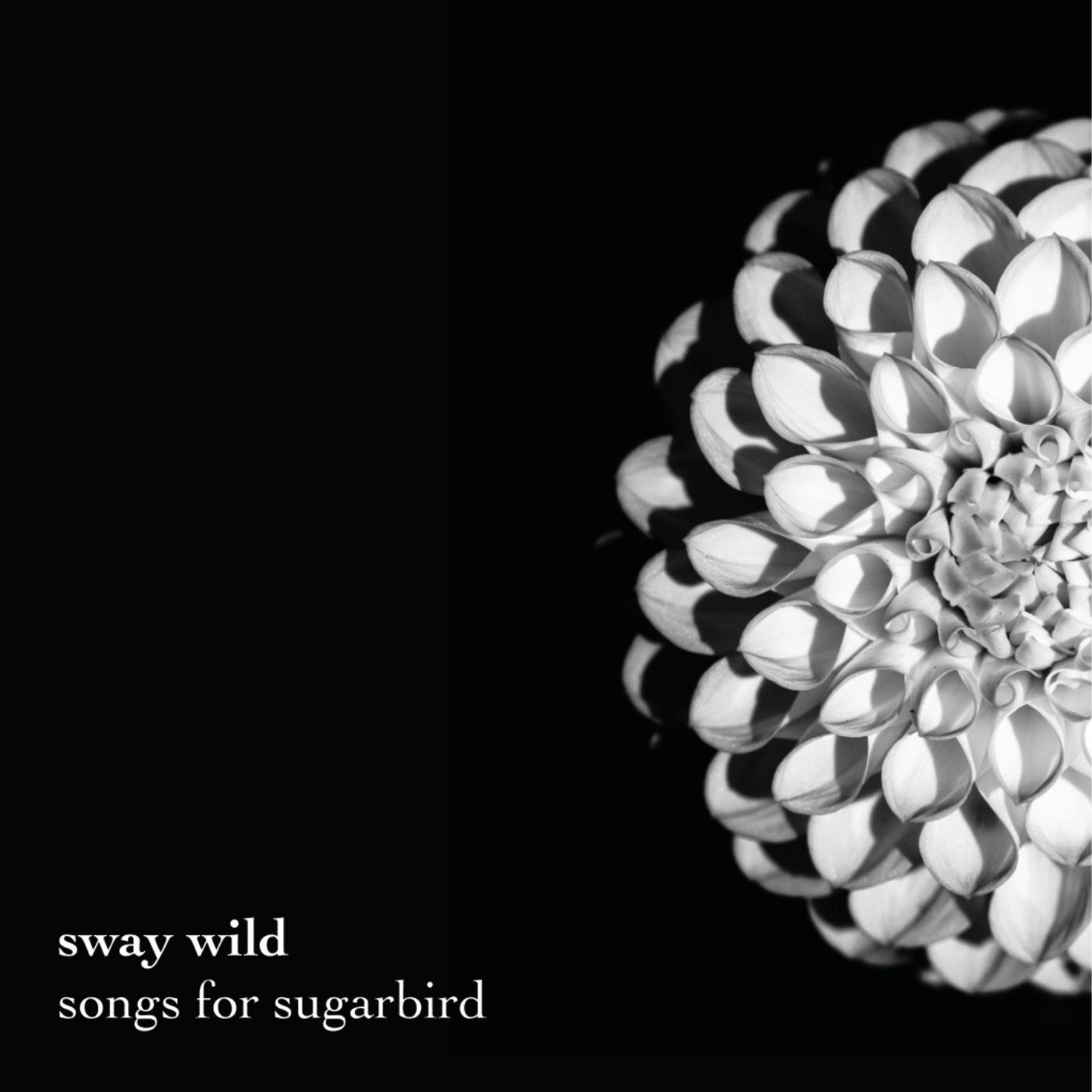 &#39;Songs for Sugarbird&#39; EP - CD, Sway Wild (2021)
