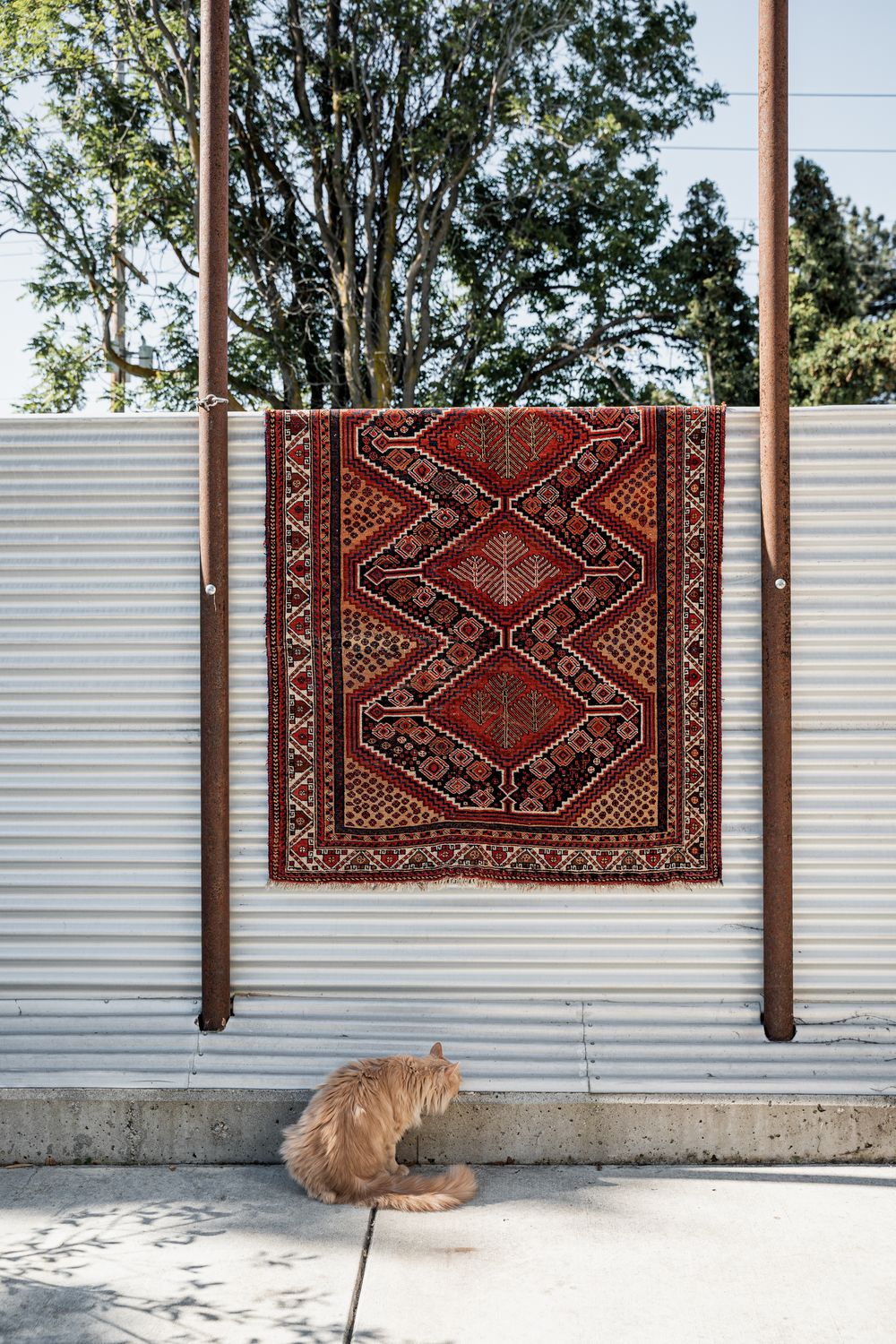 Antique Persian &quot;Shiraz, Kashan&quot; rug