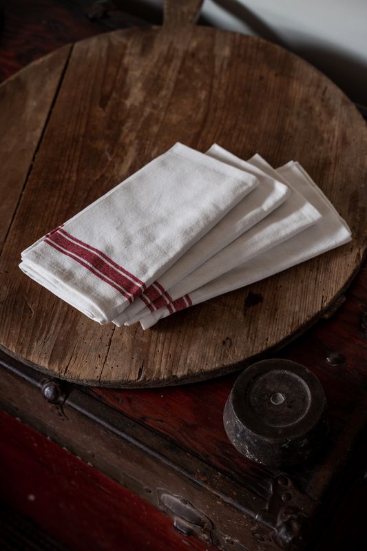 Cotton Picnic Napkins, set of 4