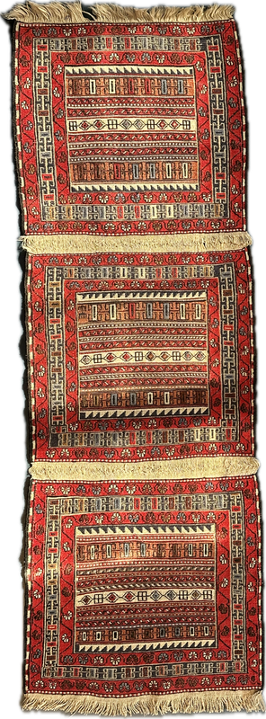Small unique Persian &quot;Rah-Rah&quot; runner 22x66&quot;