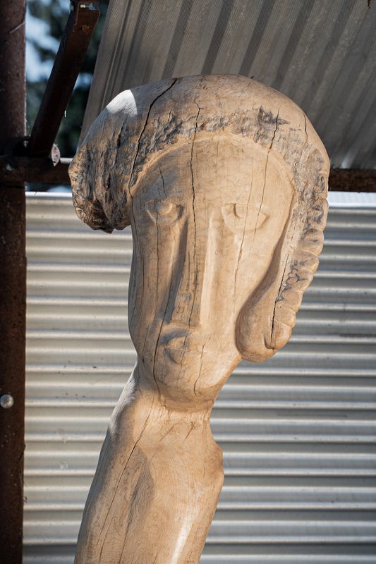Woman&#39;s Head