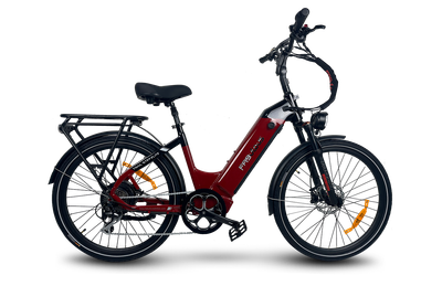 Trail Step ELITE  (Spoke Version)