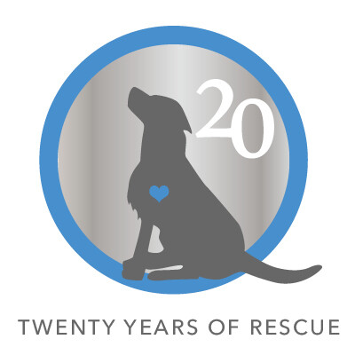 PRE-ORDER - New Hope Dog Rescue 20th Anniversary Cookbook