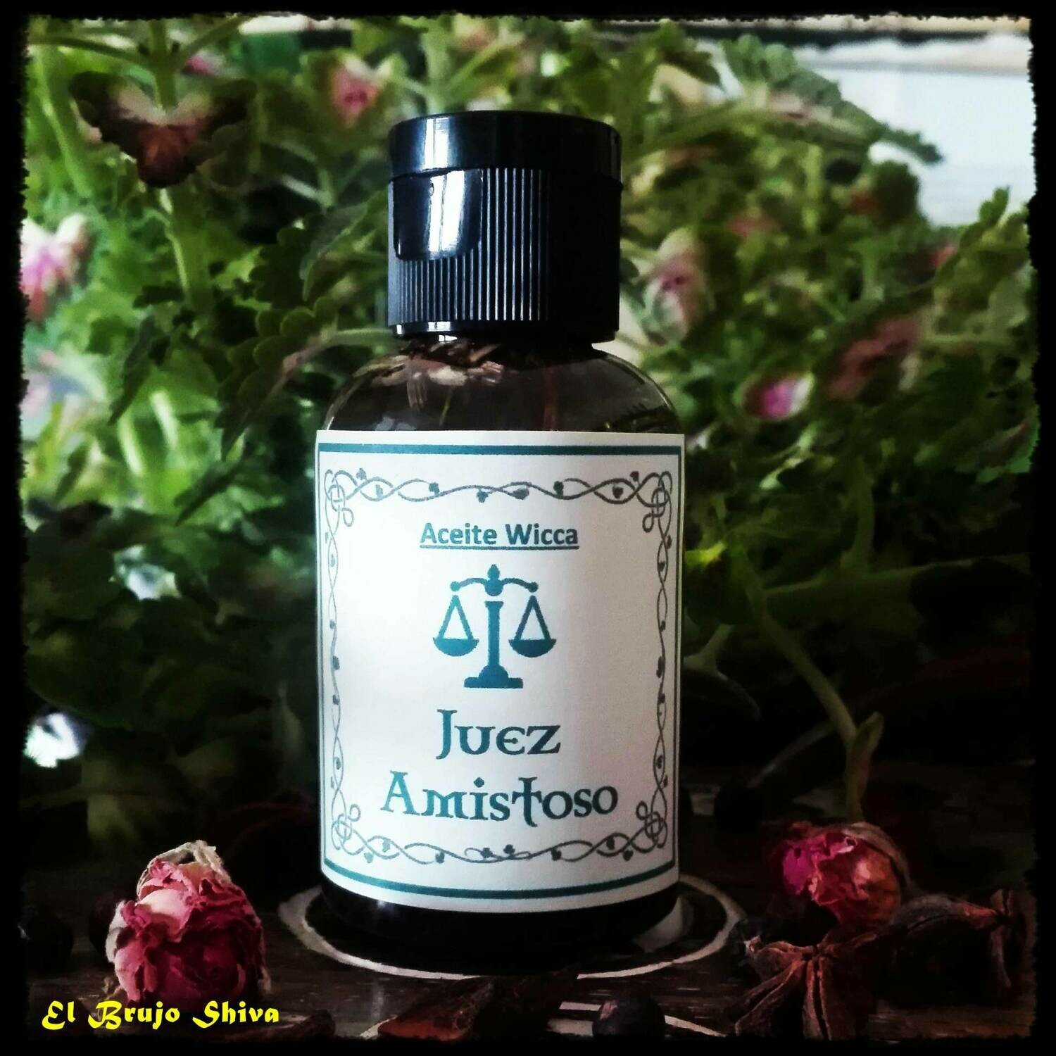 Juez Amistoso