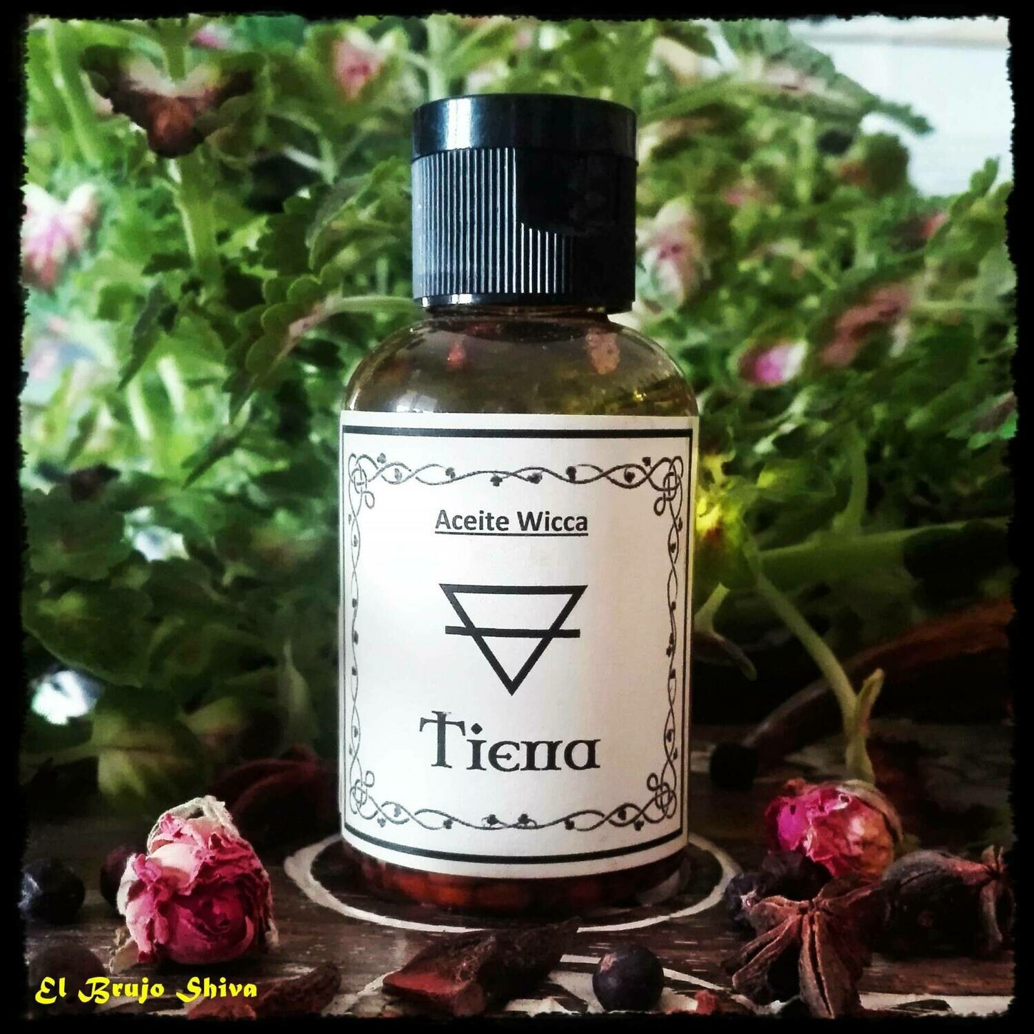 Tierra Elemento